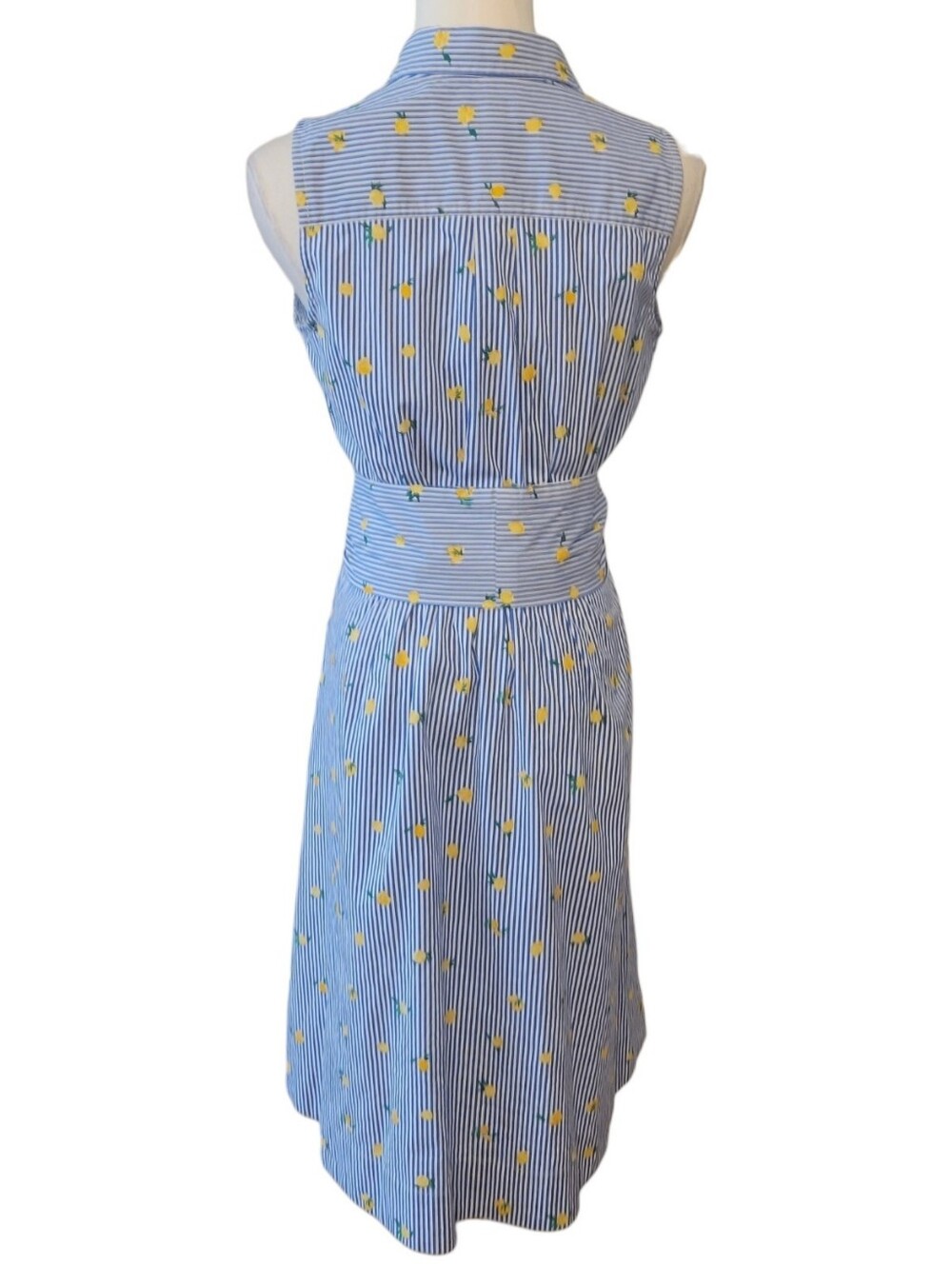J. Crew Blue & White Stripe Lemon Print Shirtdress Size 2 - Picture 5 of 6